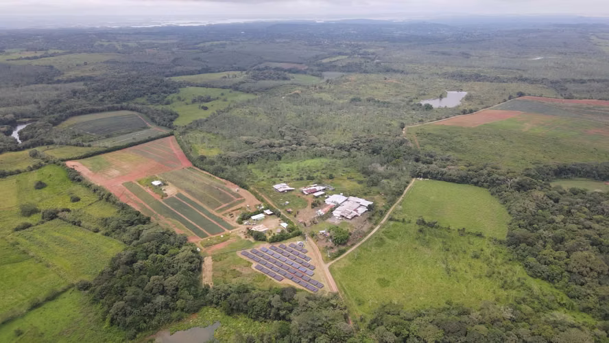 Banco Vende Finca LA CHORRERA ZANGUENGAS ideal para piñas o ganado - Imagen 5