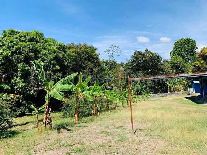 Venta de Terreno en Terreno Chilibre Chilibre Centro HQ - Imagen 2