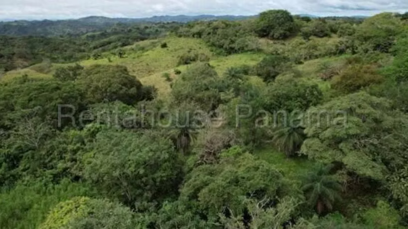 Terreno en venta Pedasí 27-2299 MMM - Imagen 8