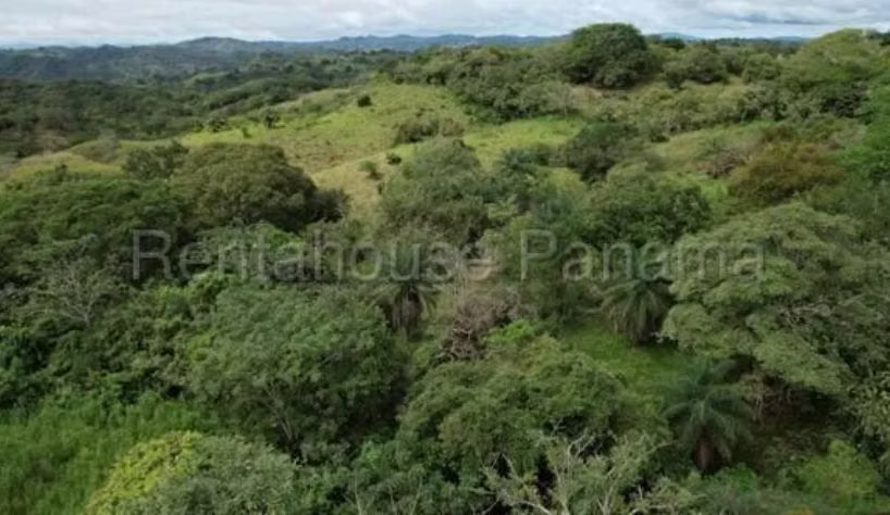 Terreno en venta Pedasí 27-2299 MMM - Imagen 3