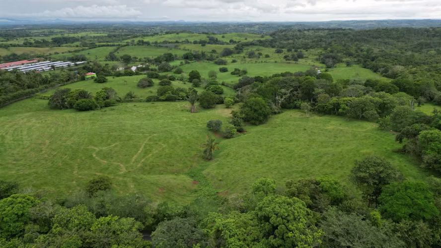 51 HECTÁREAS DE TERRENO! $3,571,715 - Imagen 7