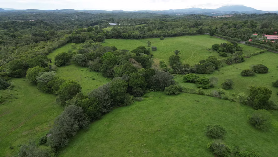 51 HECTÁREAS DE TERRENO! $3,571,715 - Imagen 17