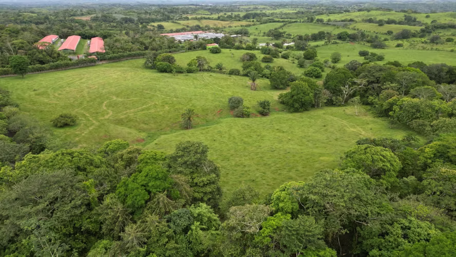 51 HECTÁREAS DE TERRENO! $3,571,715 - Imagen 3