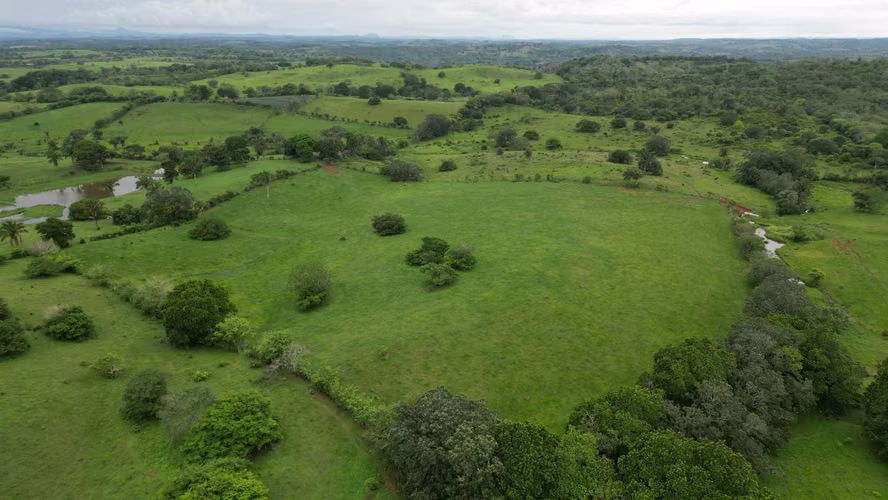 51 HECTÁREAS DE TERRENO! $3,571,715 - Imagen 10