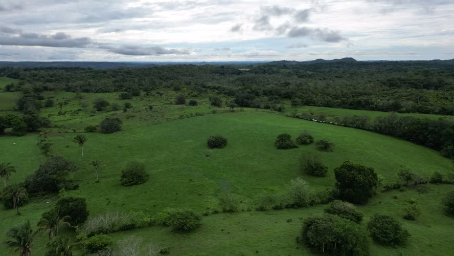 51 HECTÁREAS DE TERRENO! $3,571,715 - Imagen 12