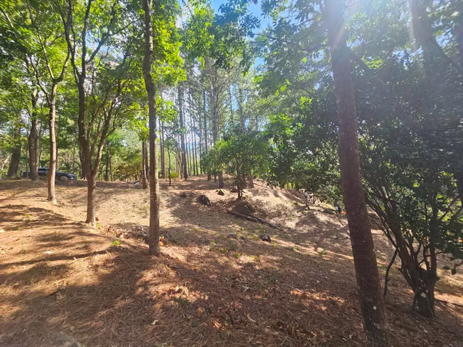 Terreno en Venta en Altos del María 129,000 - Imagen 9