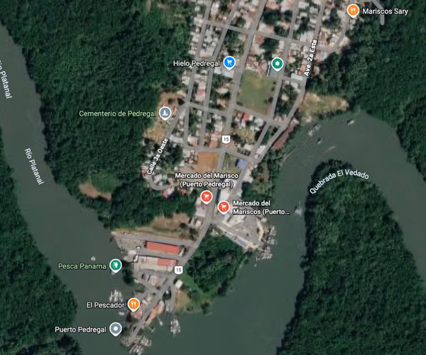 Lote en Puerto Pedregal, David - Imagen 2