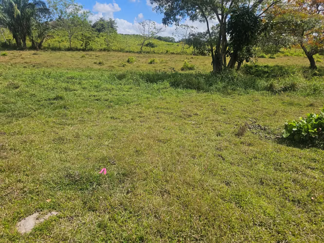 Terreno de 5,000 m² en Capira – Ideal para inversión o vivienda - Imagen 10