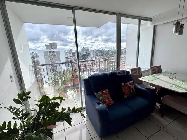 3 bedroom apartment in Lefevre Park