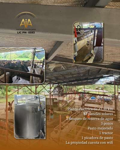 FINCA CON MEJORAS DE 46 HECTAREAS - Imagen 2