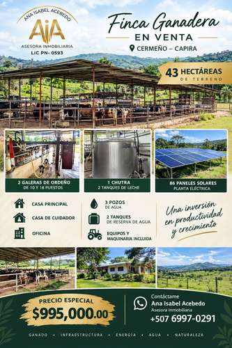 FINCA CON MEJORAS DE 46 HECTAREAS - Imagen 1