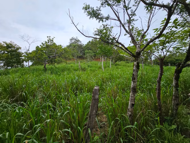 Se vende excelente finca ganadera 470 hectáreas más 450 animales a 9,500.00 por hectárea , san Lorenzo Chiriquí 
