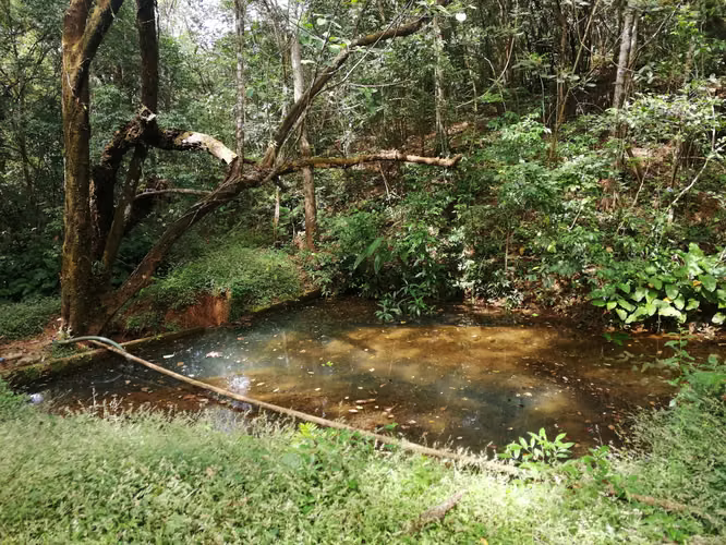 Se vende excelente finca ganadera 470 hectáreas más 450 animales a 9,500.00 por hectárea , san Lorenzo Chiriquí 
