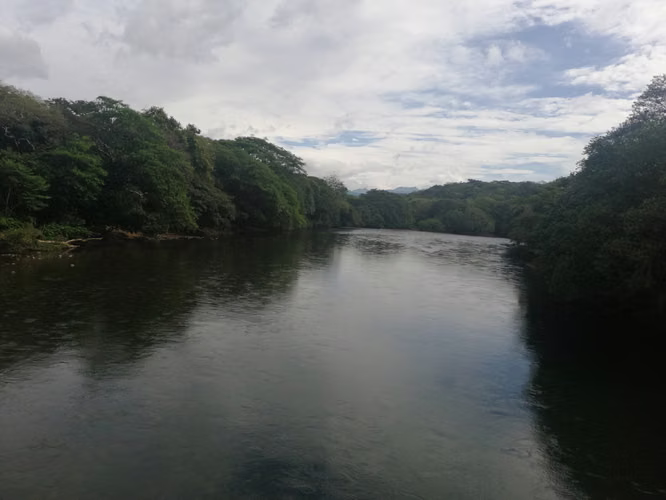 Se vende excelente finca ganadera 470 hectáreas más 450 animales a 9,500.00 por hectárea , san Lorenzo Chiriquí 