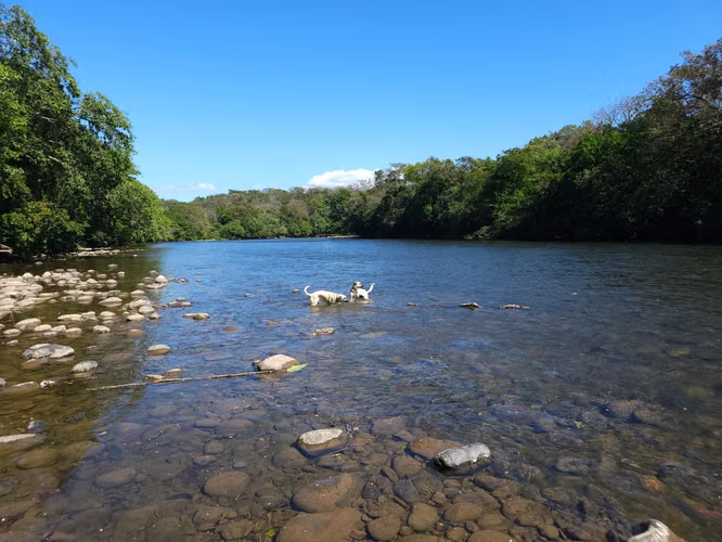 Se vende excelente finca ganadera 470 hectáreas más 450 animales a 9,500.00 por hectárea , san Lorenzo Chiriquí 