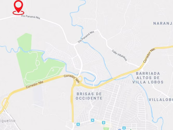 VENDO LOTES de Terreno en Pamana Norte. 37200m2 MAG - Imagen 15