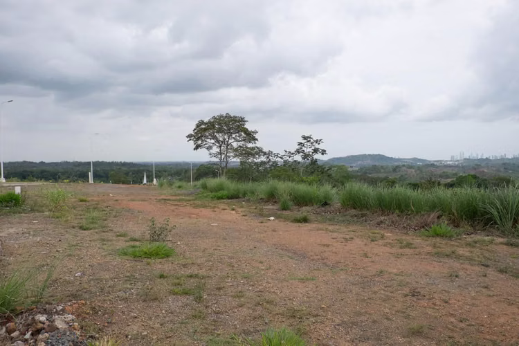 VENDO LOTES de Terreno en Pamana Norte. 37200m2 MAG - Imagen 12