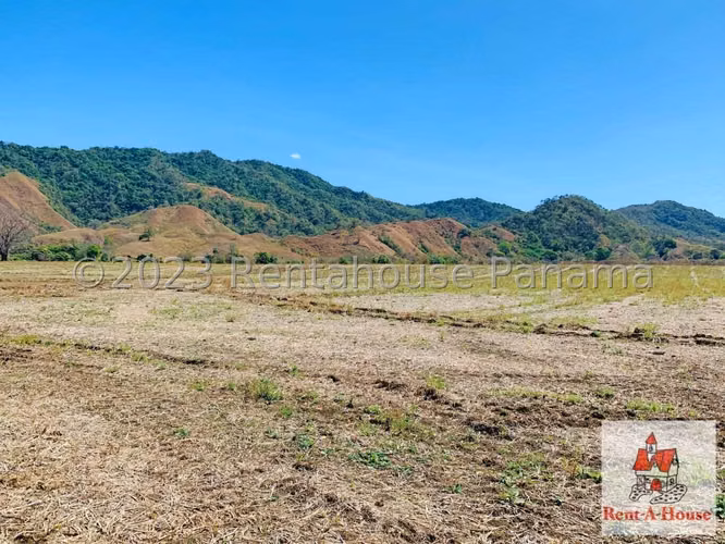 VENDO Terreno de 77 Hectareas Planas y Titualadas en Cambutal, Tonosi. MAG - Imagen 19
