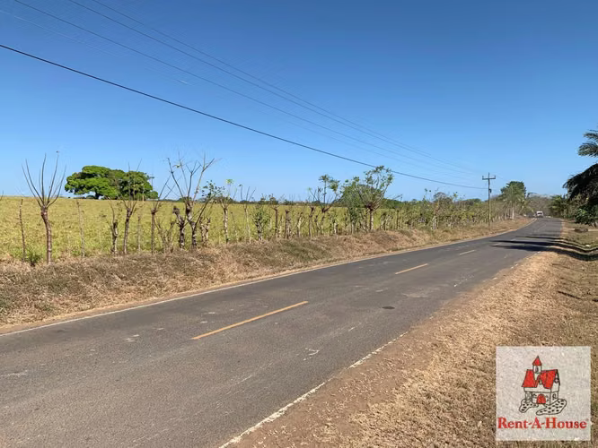 VENDO Terreno Plano de 101 hectáreas +5918 metros TITULADOS en Pedasi, Los Santos. MAG - Imagen 9