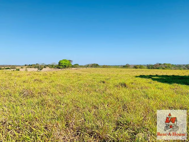 VENDO Plano land of 101 hectares + 5918 meters dedicated in Pedasi, Los Santos. MAG