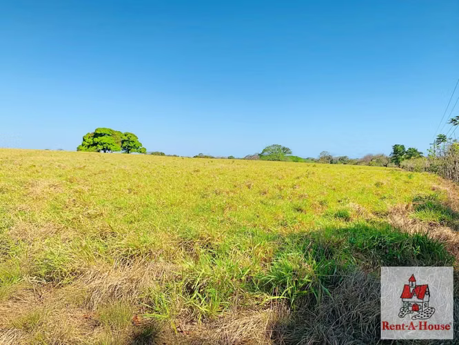 VENDO Terreno Plano de 101 hectáreas +5918 metros TITULADOS en Pedasi, Los Santos. MAG - Imagen 15