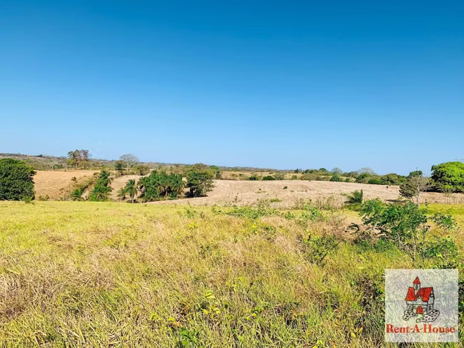 VENDO Terreno Plano de 101 hectáreas +5918 metros TITULADOS en Pedasi, Los Santos. MAG - Imagen 10