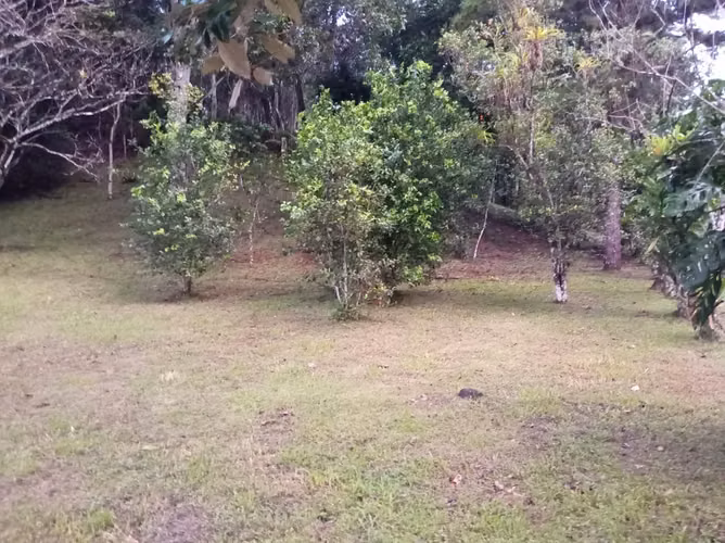 SE ALQUILA FINCA CON OPCION A COMPRA. - Imagen 3