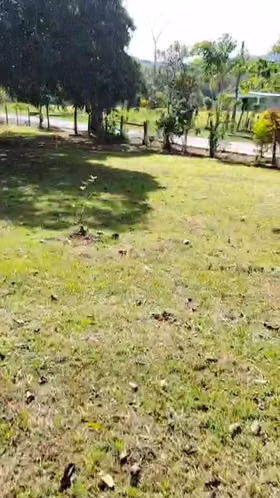 SE ALQUILA FINCA CON OPCION A COMPRA. - Imagen 2