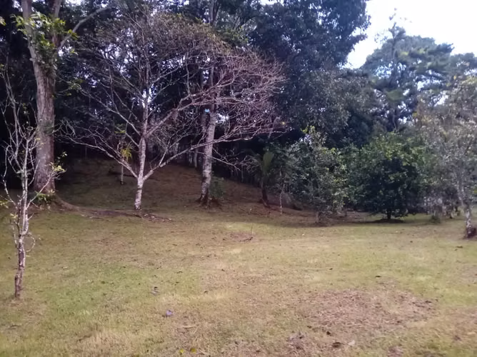 SE ALQUILA FINCA CON OPCION A COMPRA. - Imagen 7