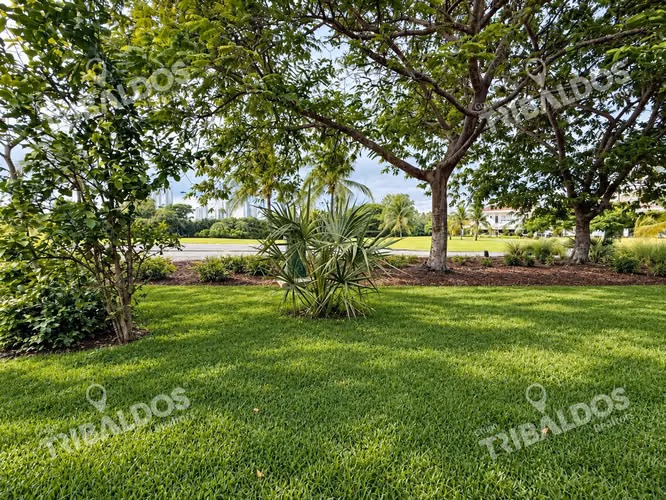 Venta de casa en Fairway Estates Santa Maria - Imagen 8