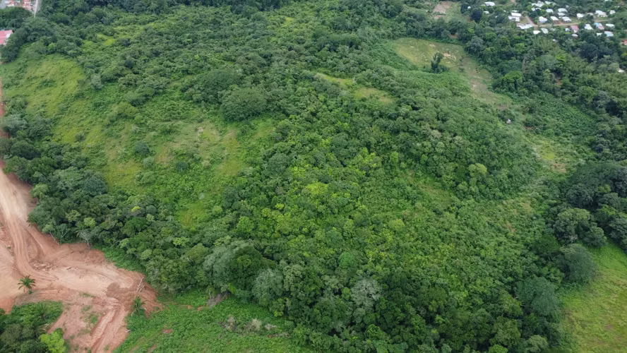 VENTA TERRENO LAS YAYAS | LA CHORRERA | 23.7 HA | RIO CAIMITO | $8 M2 MV005 - Imagen 3