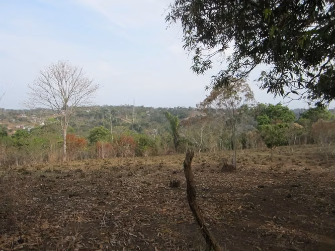 VENTA TERRENO LAS YAYAS | LA CHORRERA | 23.7 HA | RIO CAIMITO | $8 M2 MV005 - Imagen 12