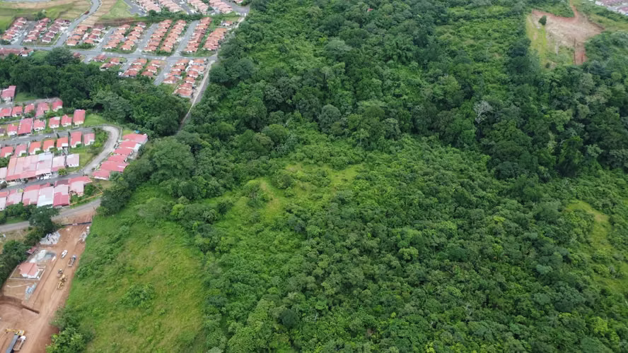 VENTA TERRENO LAS YAYAS | LA CHORRERA | 23.7 HA | RIO CAIMITO | $8 M2 MV005 - Imagen 2
