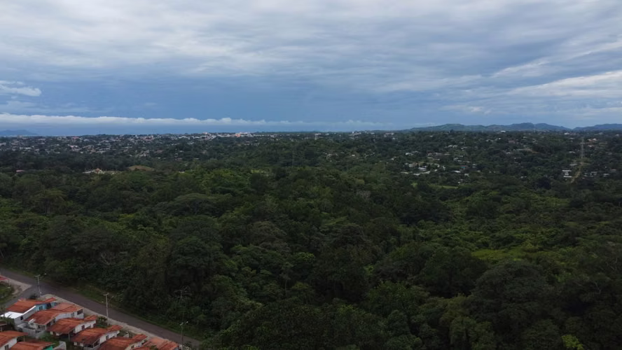 VENTA TERRENO LAS YAYAS | LA CHORRERA | 23.7 HA | RIO CAIMITO | $8 M2 MV005 - Imagen 7