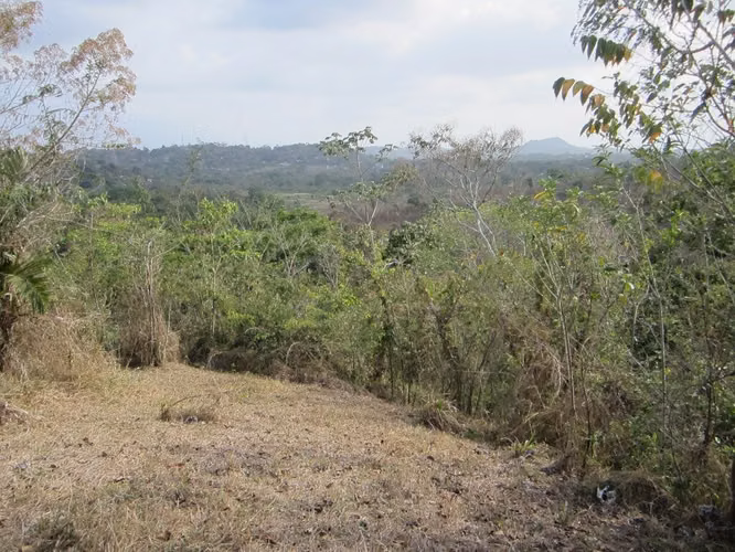 VENTA TERRENO LAS YAYAS | LA CHORRERA | 23.7 HA | RIO CAIMITO | $8 M2 MV005 - Imagen 13