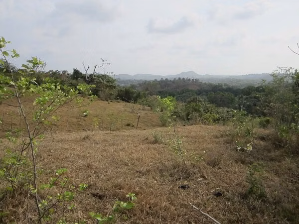 VENTA TERRENO LAS YAYAS | LA CHORRERA | 23.7 HA | RIO CAIMITO | $8 M2 MV005 - Imagen 11