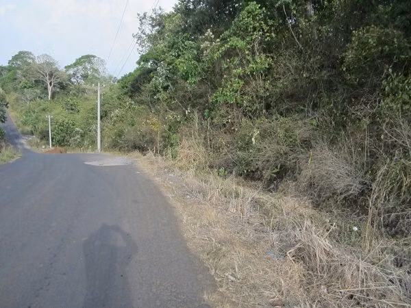 VENTA TERRENO LAS YAYAS | LA CHORRERA | 23.7 HA | RIO CAIMITO | $8 M2 MV005 - Imagen 8