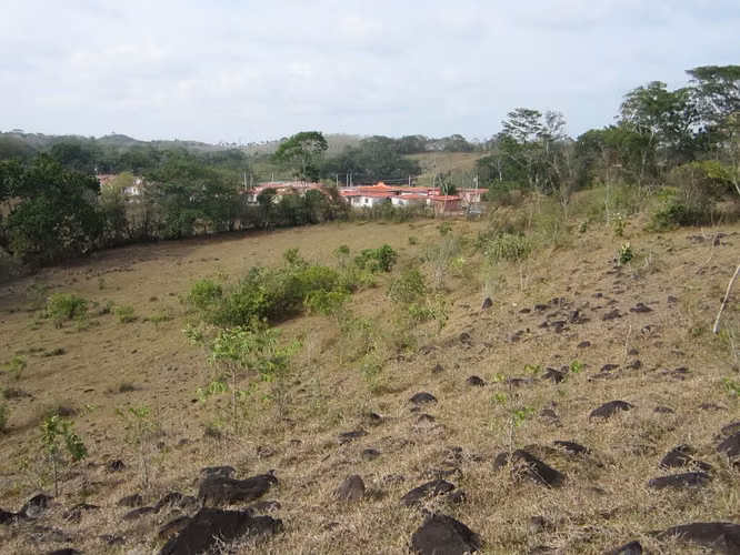 VENTA TERRENO LAS YAYAS | LA CHORRERA | 23.7 HA | RIO CAIMITO | $8 M2 MV005 - Imagen 10