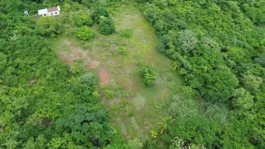 Vendo terreno en las Uvas de San Carlos - Imagen 8