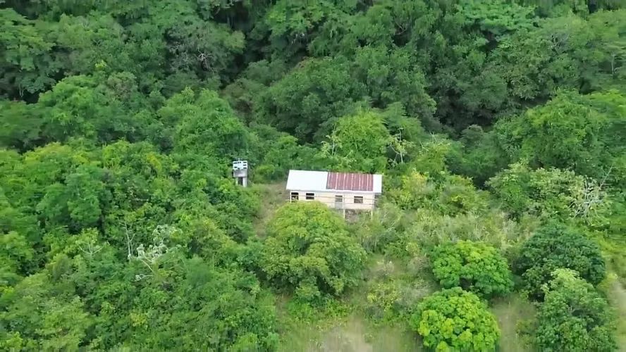 Vendo terreno en las Uvas de San Carlos - Imagen 4