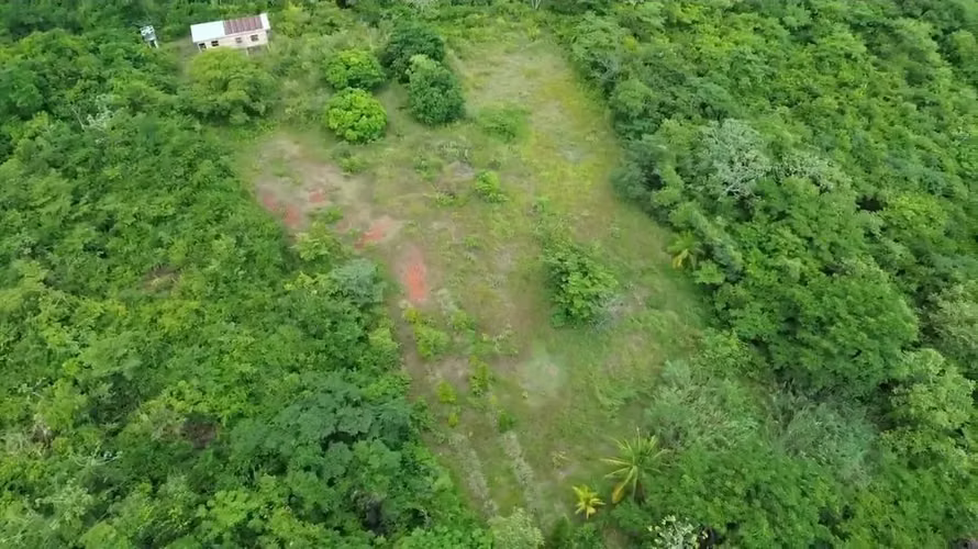Vendo terreno en las Uvas de San Carlos - Imagen 6
