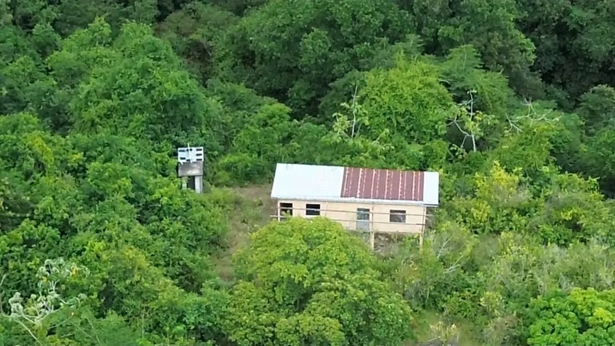 Vendo terreno en las Uvas de San Carlos - Imagen 3