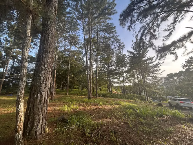 VENTA TERRENO de 1511m2 en Cerro Azul AMD