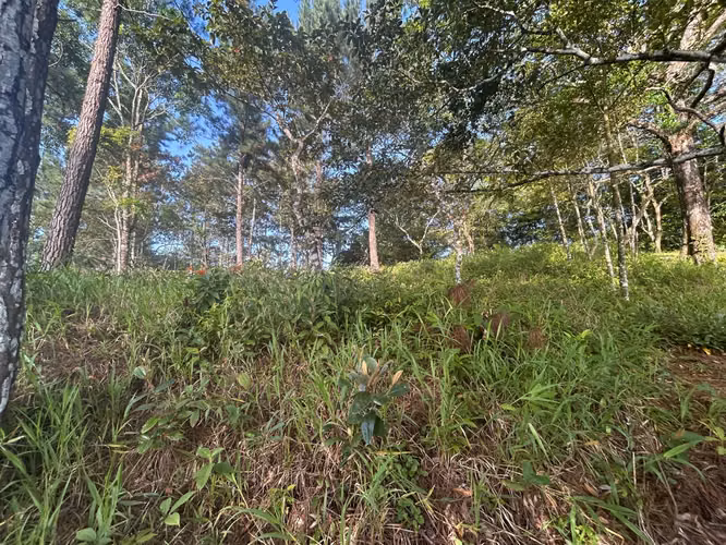 VENTA TERRENO de 1511m2 en Cerro Azul AMD