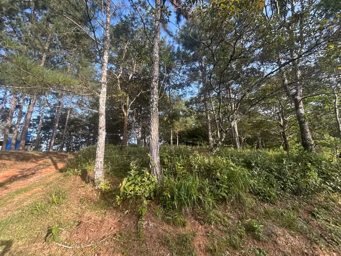 VENTA TERRENO de 1511m2 en Cerro Azul AMD