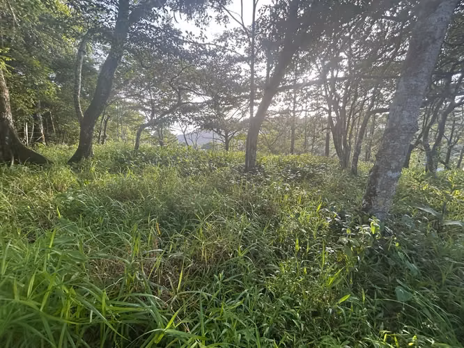 VENTA TERRENO de 1511m2 en Cerro Azul AMD