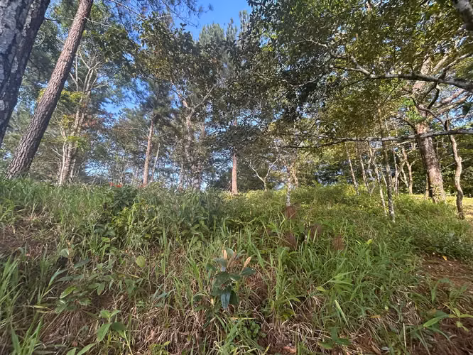 VENTA TERRENO de 1511m2 en Cerro Azul AMD