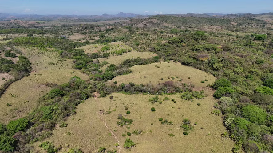 VENTA Lote de 270 has en Meteti, Darien AMD - Imagen 6