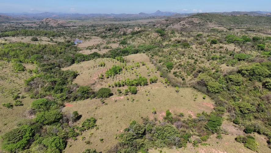 VENTA Lote de 270 has en Meteti, Darien AMD - Imagen 4