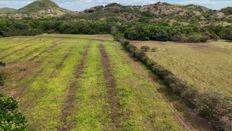 20.04 HECTÁREAS EN ACLITA, RÍO DE JESÚS | TIERRA PRODUCTIVA CON VISIÓN DE FUTURO AMD